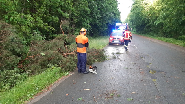 20220520_200226_resized groß.jpg